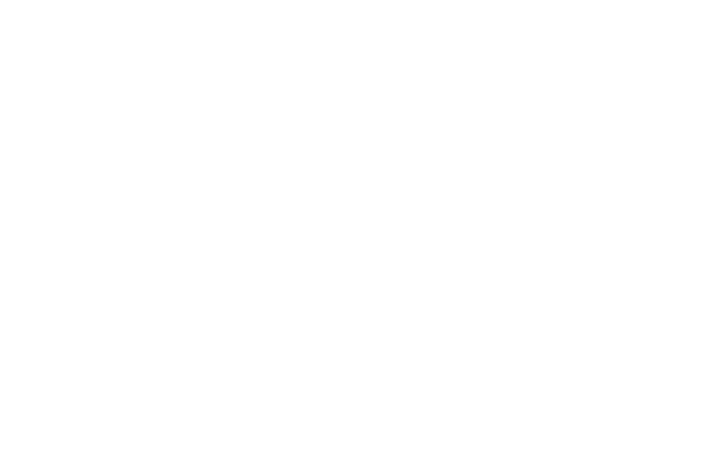 Saudi_Vision_2030-white S